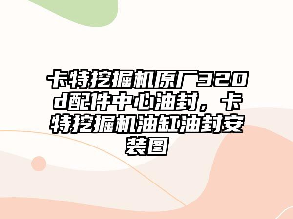 卡特挖掘機原廠320d配件中心油封，卡特挖掘機油缸油封安裝圖