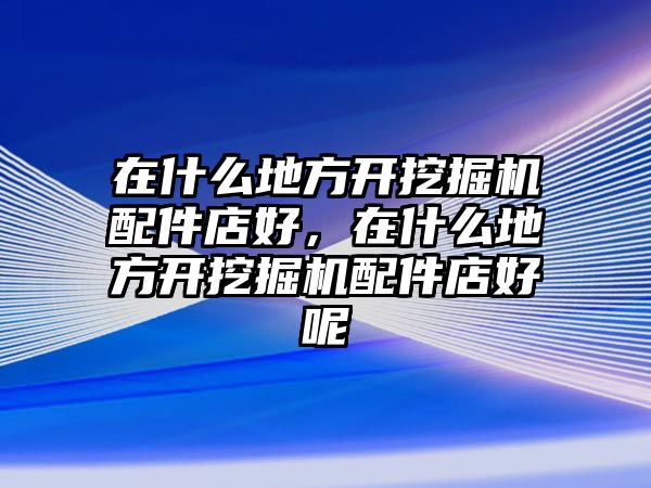 在什么地方開挖掘機配件店好，在什么地方開挖掘機配件店好呢