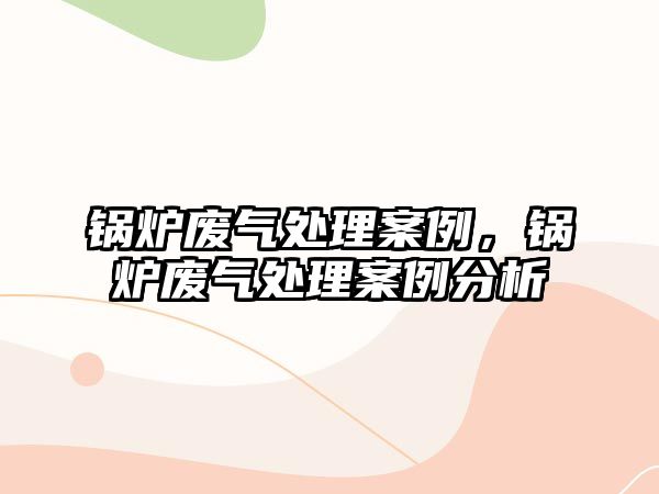 鍋爐廢氣處理案例，鍋爐廢氣處理案例分析