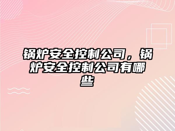 鍋爐安全控制公司，鍋爐安全控制公司有哪些