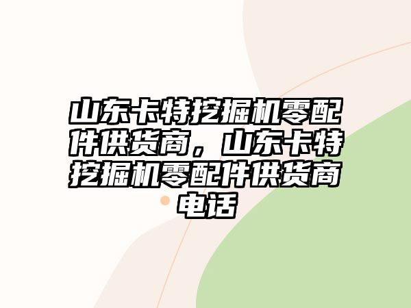 山東卡特挖掘機零配件供貨商，山東卡特挖掘機零配件供貨商電話