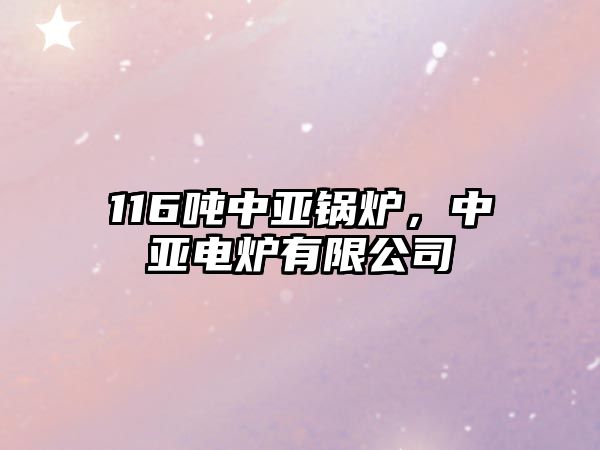 116噸中亞鍋爐，中亞電爐有限公司