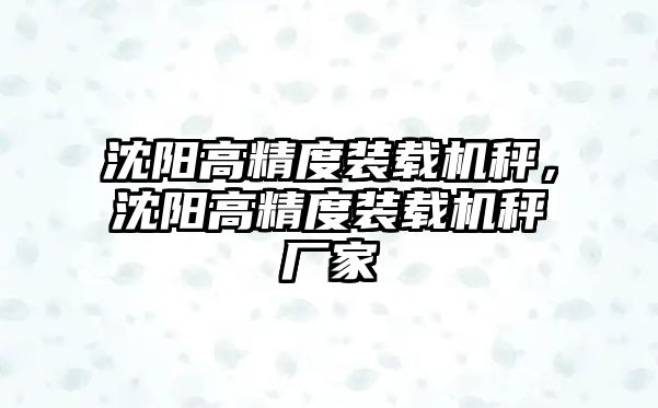 沈陽高精度裝載機秤，沈陽高精度裝載機秤廠家