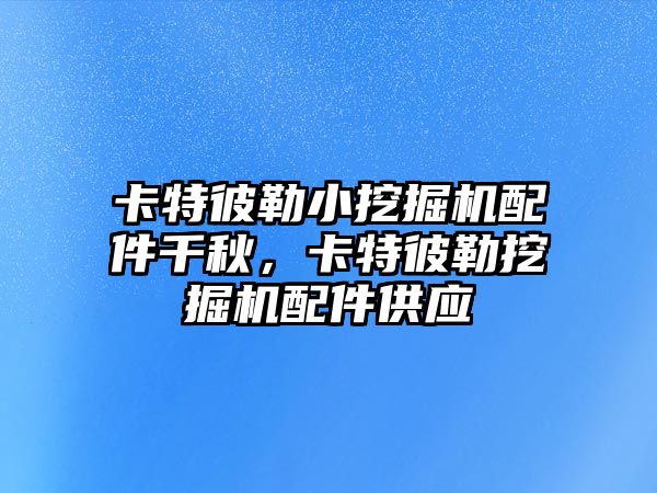 卡特彼勒小挖掘機配件千秋，卡特彼勒挖掘機配件供應