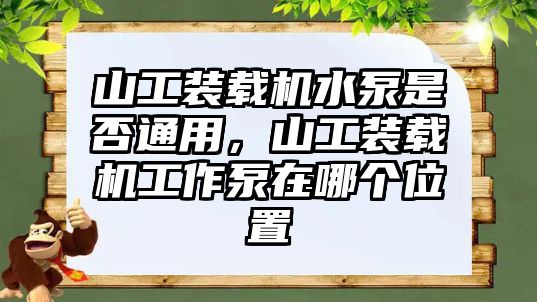 山工裝載機(jī)水泵是否通用，山工裝載機(jī)工作泵在哪個位置