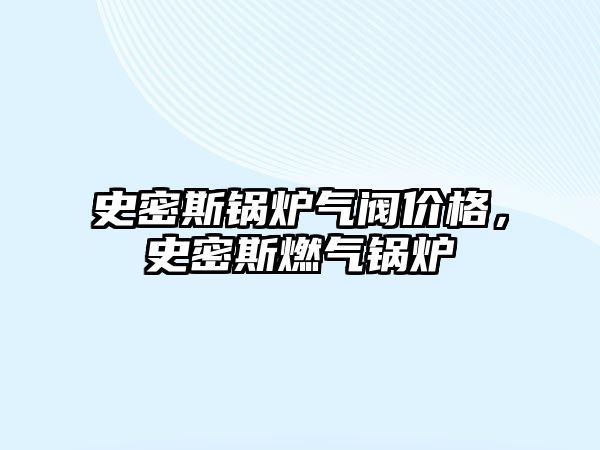 史密斯鍋爐氣閥價(jià)格，史密斯燃?xì)忮仩t