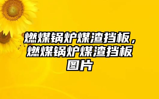 燃煤鍋爐煤渣擋板，燃煤鍋爐煤渣擋板圖片