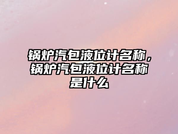 鍋爐汽包液位計名稱，鍋爐汽包液位計名稱是什么