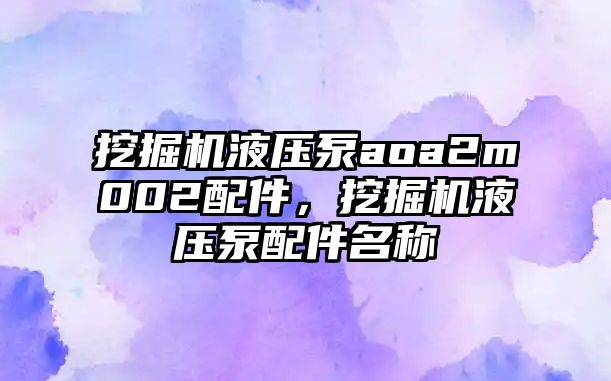 挖掘機液壓泵aoa2m002配件，挖掘機液壓泵配件名稱