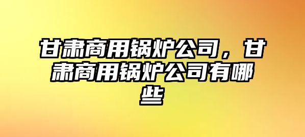 甘肅商用鍋爐公司，甘肅商用鍋爐公司有哪些