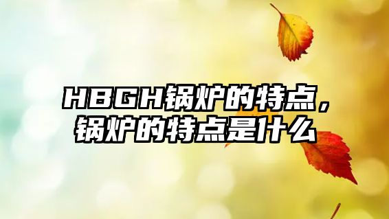 HBGH鍋爐的特點(diǎn)，鍋爐的特點(diǎn)是什么