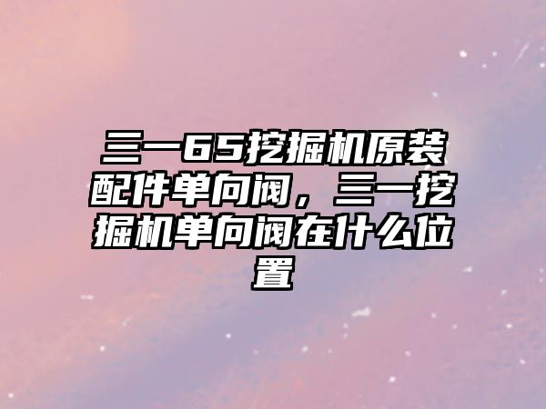 三一65挖掘機原裝配件單向閥，三一挖掘機單向閥在什么位置