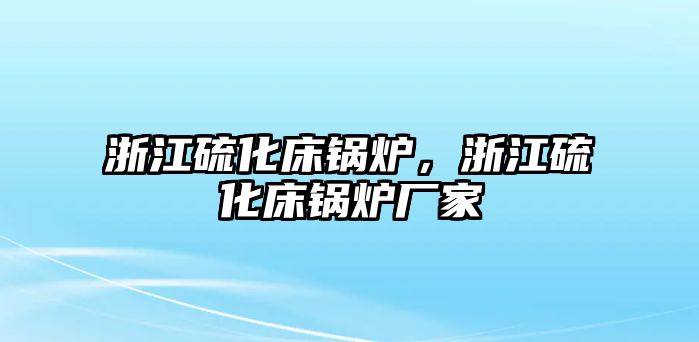 浙江硫化床鍋爐，浙江硫化床鍋爐廠家