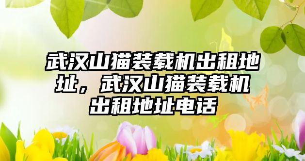 武漢山貓裝載機(jī)出租地址，武漢山貓裝載機(jī)出租地址電話