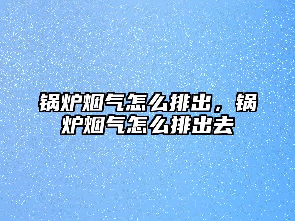 鍋爐煙氣怎么排出，鍋爐煙氣怎么排出去