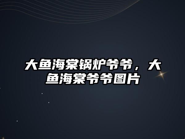 大魚海棠鍋爐爺爺，大魚海棠爺爺圖片