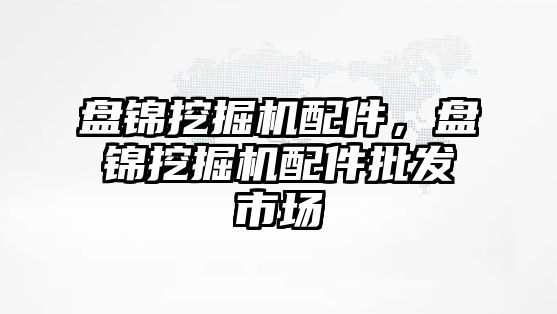 盤錦挖掘機配件，盤錦挖掘機配件批發(fā)市場