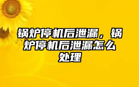 鍋爐停機(jī)后泄漏，鍋爐停機(jī)后泄漏怎么處理