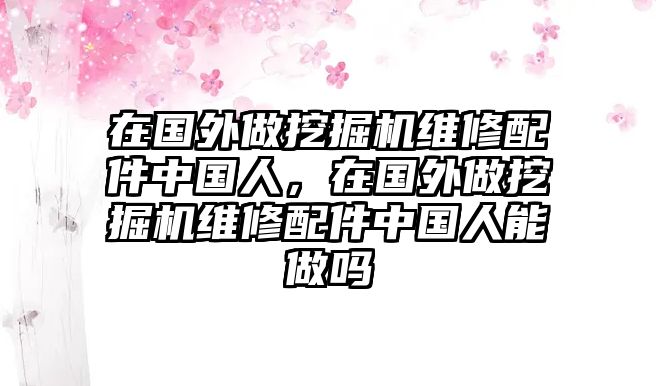 在國(guó)外做挖掘機(jī)維修配件中國(guó)人，在國(guó)外做挖掘機(jī)維修配件中國(guó)人能做嗎