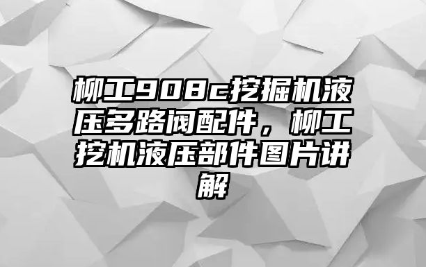 柳工908c挖掘機(jī)液壓多路閥配件，柳工挖機(jī)液壓部件圖片講解