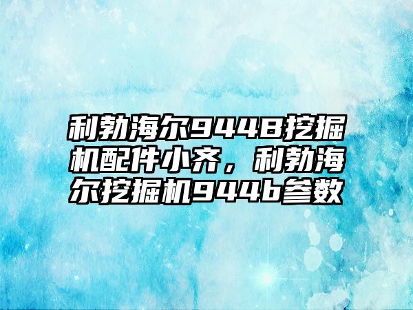 利勃海爾944B挖掘機(jī)配件小齊，利勃海爾挖掘機(jī)944b參數(shù)