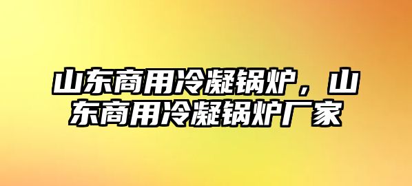 山東商用冷凝鍋爐，山東商用冷凝鍋爐廠家