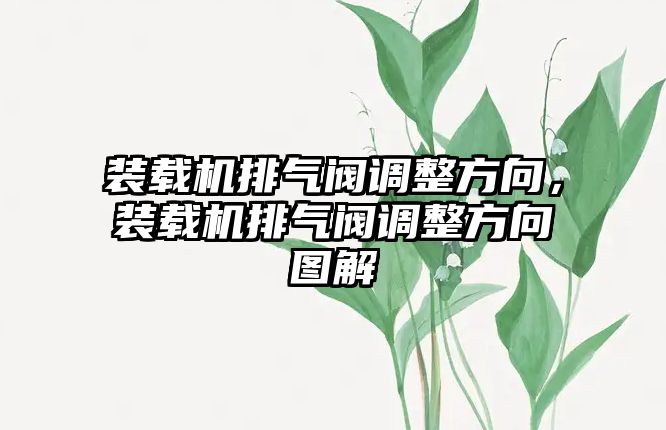 裝載機排氣閥調整方向，裝載機排氣閥調整方向圖解