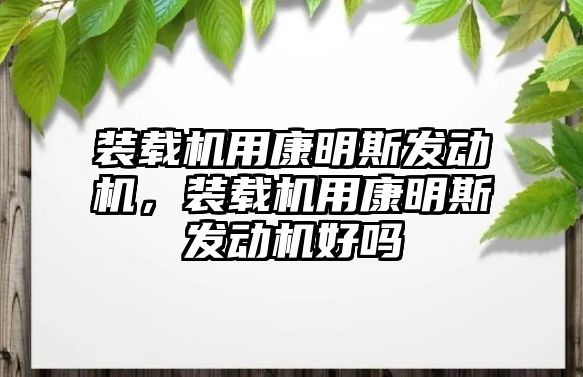 裝載機用康明斯發(fā)動機，裝載機用康明斯發(fā)動機好嗎