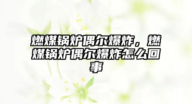 燃煤鍋爐偶爾爆炸，燃煤鍋爐偶爾爆炸怎么回事