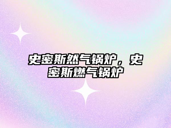 史密斯然氣鍋爐，史密斯燃?xì)忮仩t