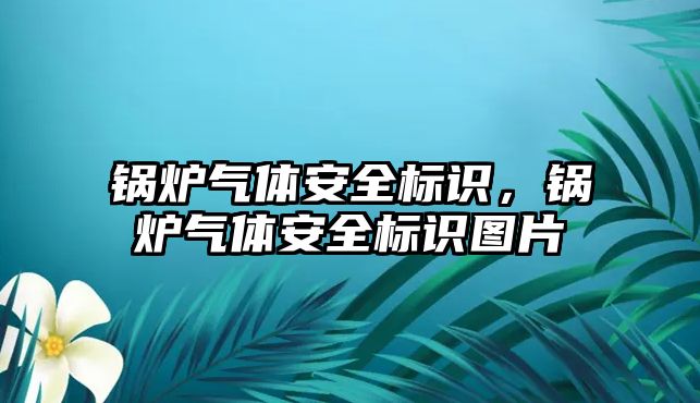 鍋爐氣體安全標識，鍋爐氣體安全標識圖片