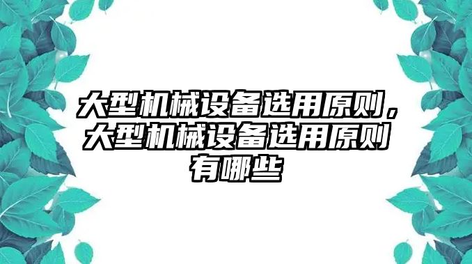 大型機械設備選用原則，大型機械設備選用原則有哪些