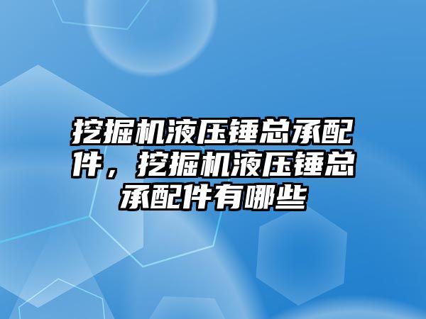 挖掘機液壓錘總承配件，挖掘機液壓錘總承配件有哪些