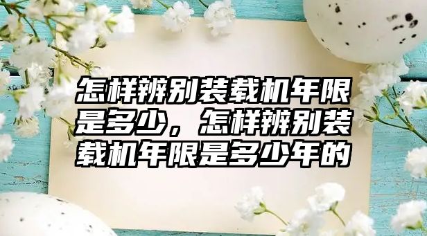 怎樣辨別裝載機(jī)年限是多少，怎樣辨別裝載機(jī)年限是多少年的