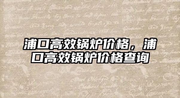 浦口高效鍋爐價格，浦口高效鍋爐價格查詢