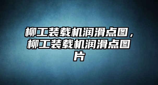 柳工裝載機潤滑點圖，柳工裝載機潤滑點圖片