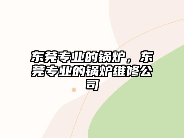 東莞專(zhuān)業(yè)的鍋爐，東莞專(zhuān)業(yè)的鍋爐維修公司