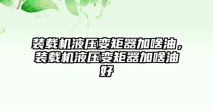 裝載機(jī)液壓變矩器加啥油，裝載機(jī)液壓變矩器加啥油好