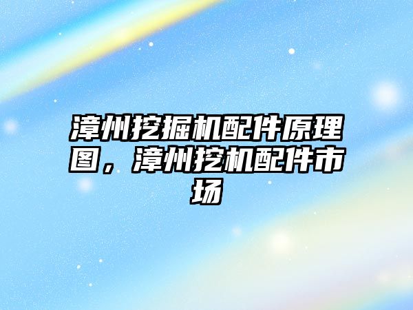 漳州挖掘機配件原理圖，漳州挖機配件市場