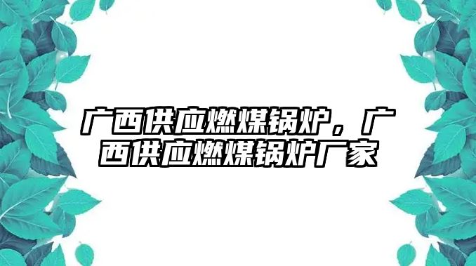 廣西供應(yīng)燃煤鍋爐，廣西供應(yīng)燃煤鍋爐廠家