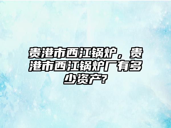 貴港市西江鍋爐，貴港市西江鍋爐廠有多少資產(chǎn)?