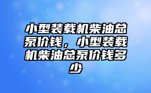 小型裝載機(jī)柴油總泵價(jià)錢，小型裝載機(jī)柴油總泵價(jià)錢多少