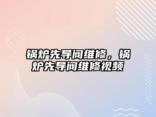 鍋爐先導(dǎo)閥維修，鍋爐先導(dǎo)閥維修視頻