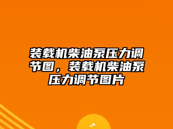 裝載機柴油泵壓力調(diào)節(jié)圖，裝載機柴油泵壓力調(diào)節(jié)圖片