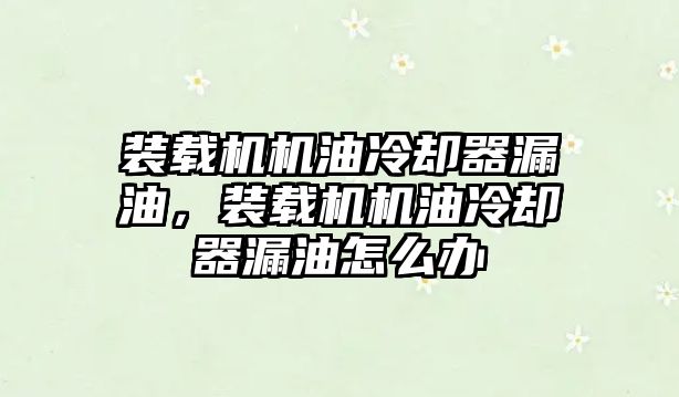 裝載機機油冷卻器漏油，裝載機機油冷卻器漏油怎么辦