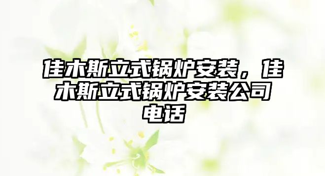 佳木斯立式鍋爐安裝，佳木斯立式鍋爐安裝公司電話