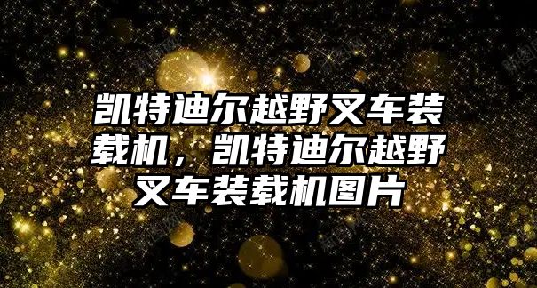 凱特迪爾越野叉車裝載機，凱特迪爾越野叉車裝載機圖片