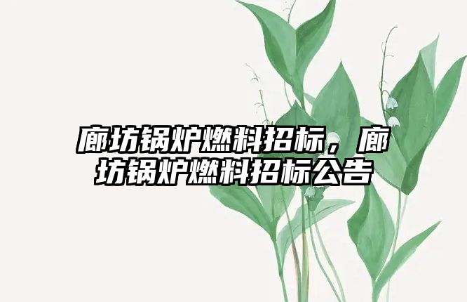 廊坊鍋爐燃料招標，廊坊鍋爐燃料招標公告