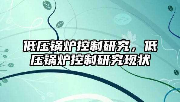 低壓鍋爐控制研究，低壓鍋爐控制研究現(xiàn)狀